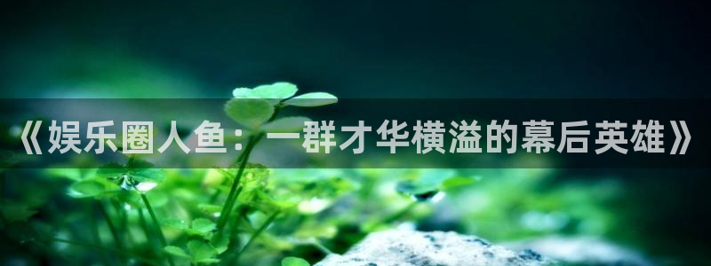 今年会：《娱乐圈人鱼：一群才华横溢的幕后英雄》