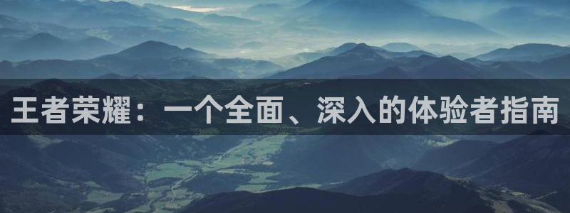 今年会：王者荣耀：一个全面、深入的体验者指南