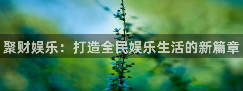 今年会app：聚财娱乐：打造全民娱乐生活的新篇章