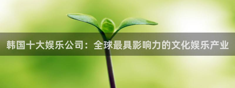 今年会官网登录入口：韩国十大娱乐公司：全球最具影响力的文化娱乐产业