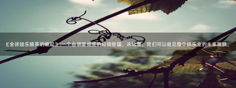 今年会官网登录入口：《全球娱乐精英的崛起》:一个由明星组成的超级帝国，从这里，我们可以窥见整个娱乐业的未来面貌。