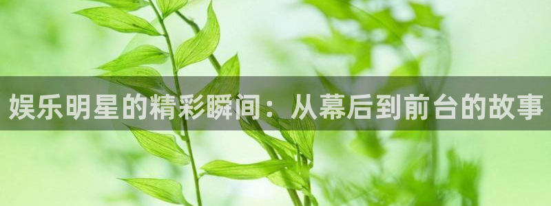 今年会官网登录入口：娱乐明星的精彩瞬间：从幕后到前台的故事