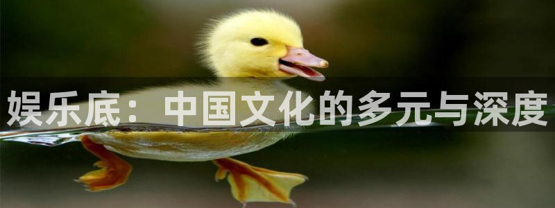 今年会：娱乐底：中国文化的多元与深度