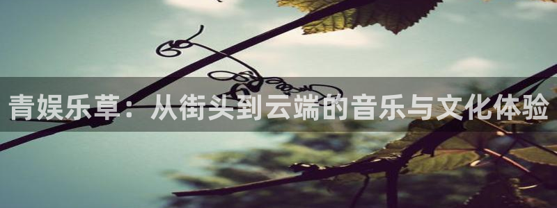 今年会：青娱乐草：从街头到云端的音乐与文化体验