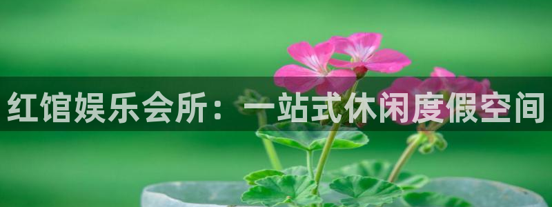 今年会首页：红馆娱乐会所：一站式休闲度假空间