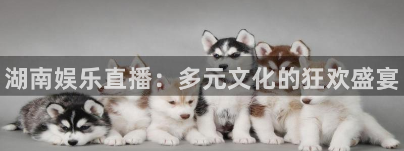 今年会体育：湖南娱乐直播：多元文化的狂欢盛宴
