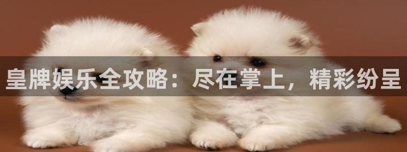 今年会：皇牌娱乐全攻略：尽在掌上，精彩纷呈