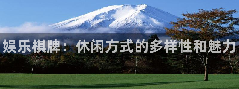 今年会app：娱乐棋牌：休闲方式的多样性和魅力