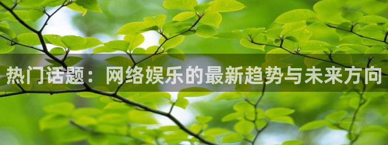 今年会app：热门话题：网络娱乐的最新趋势与未来方向